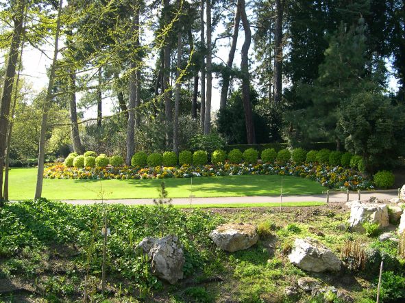  jardin des plantes, plantes de rocaille